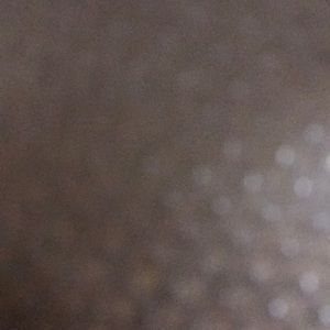 Meet your Posher, Bob